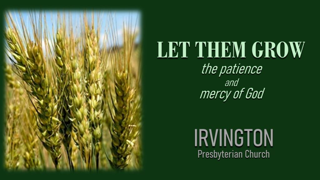 Let Them Grow: the patience and mercy of God